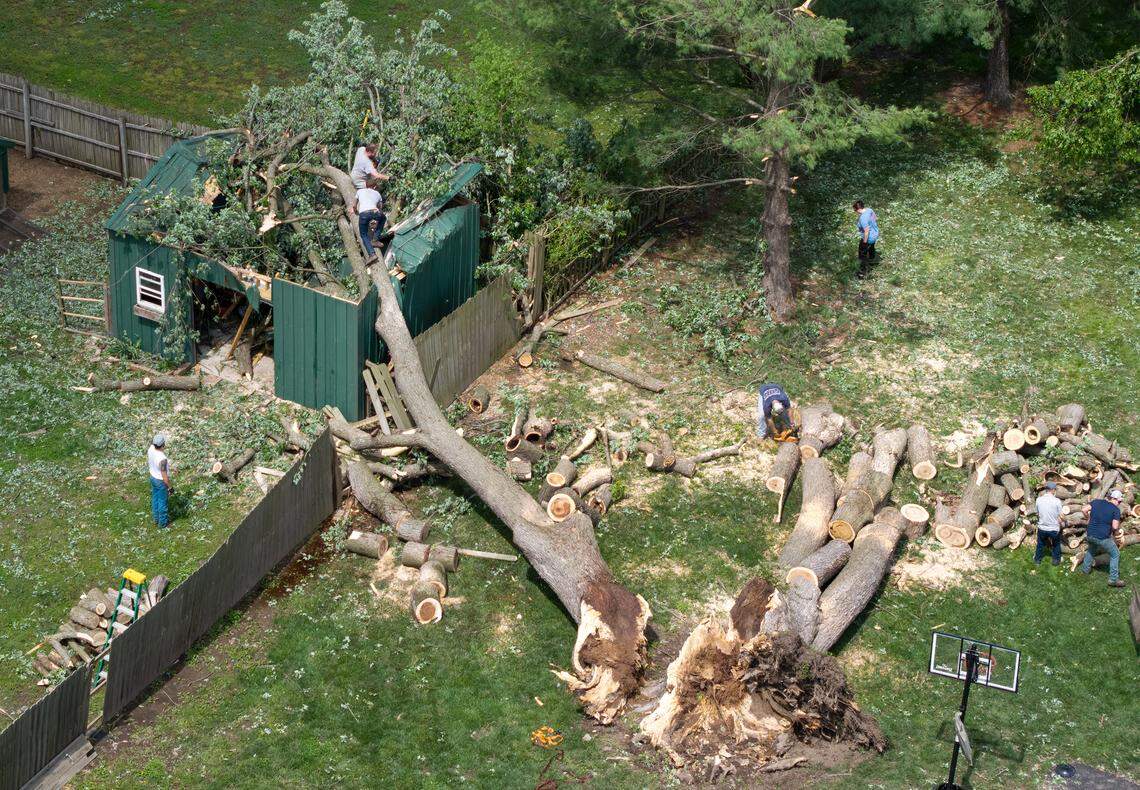 Volunteers helped a resident with cleanup of a large, fallen tree on a residential lot in the 600 block of East Bodine St., in Clinton Missouri, on Thursday, April 16, 2026, one day after a tornado touched down in Henry County.  