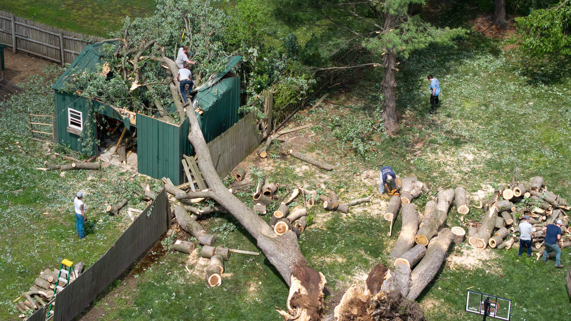 Who’s responsible if your neighbor’s tree falls on your property in SC? What state law says