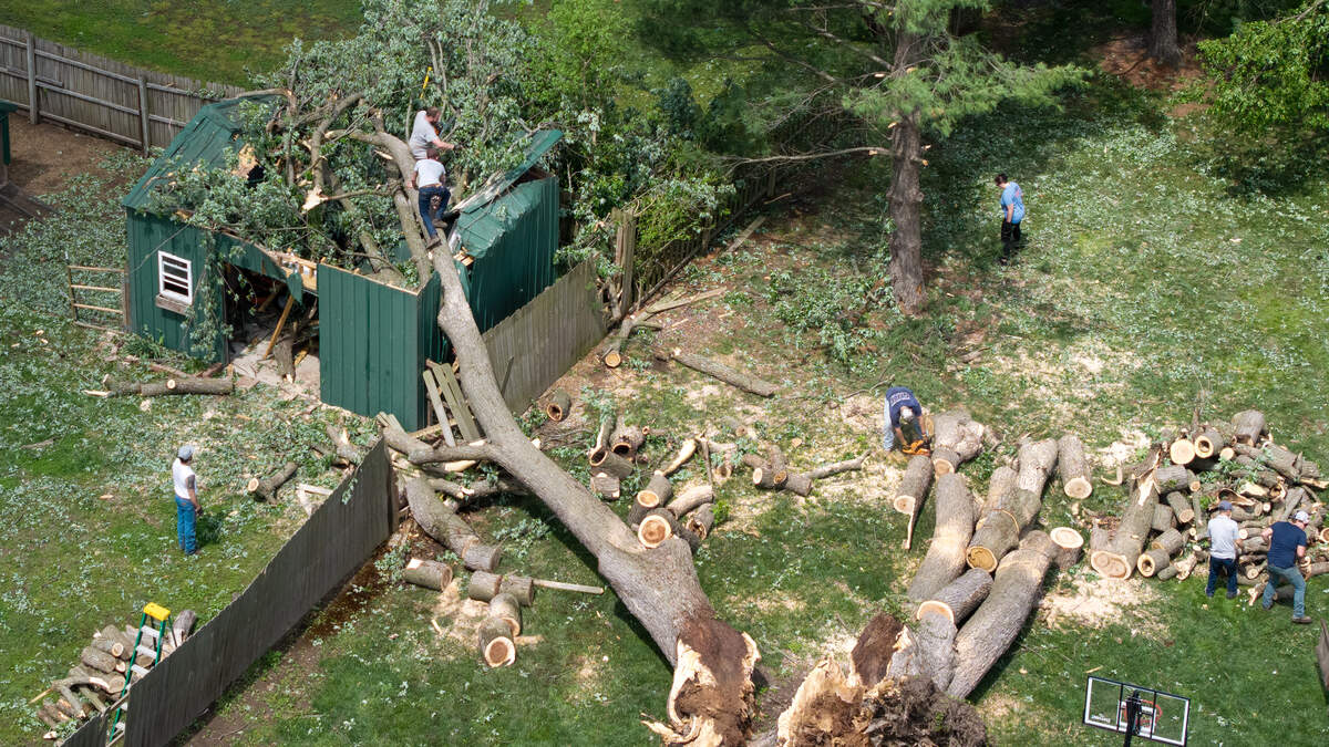 Who pays when a neighbor’s tree falls on your property? Here’s what the law says.