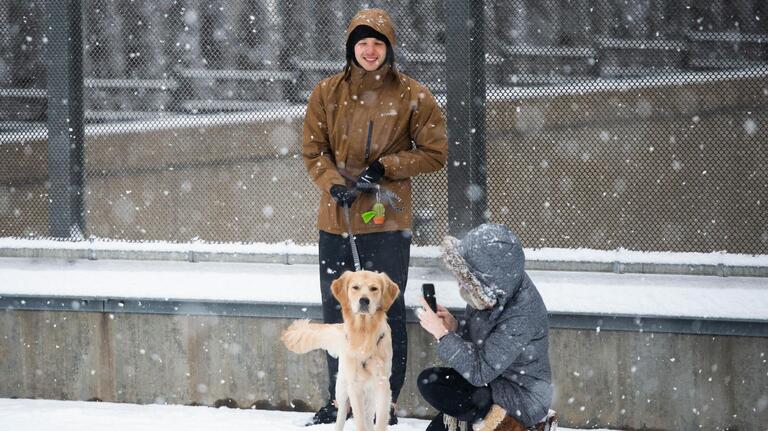 Worried about your pets in the snow? Here are some tips for keeping them safe this winter