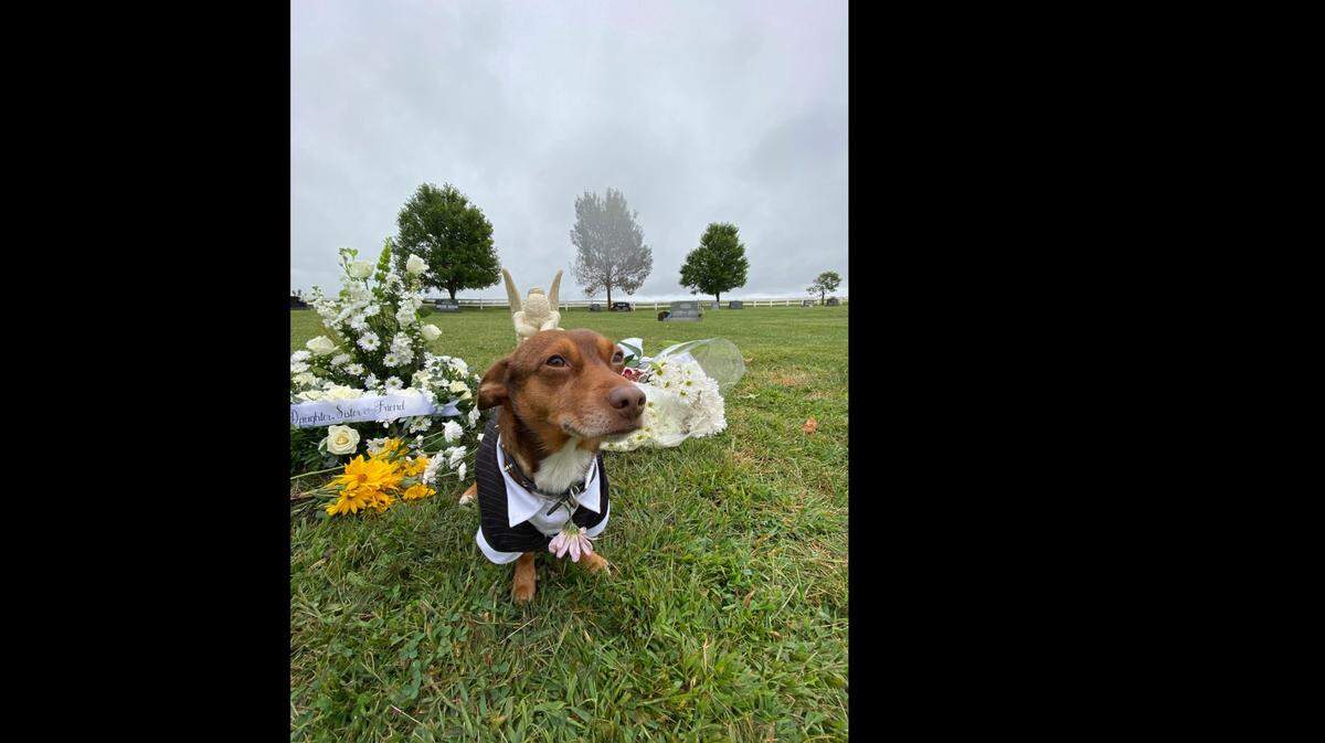 Ella Fairon brought her dog, Rogue, to her best friend Daisy Coleman’s funeral in August because Coleman loved animals.