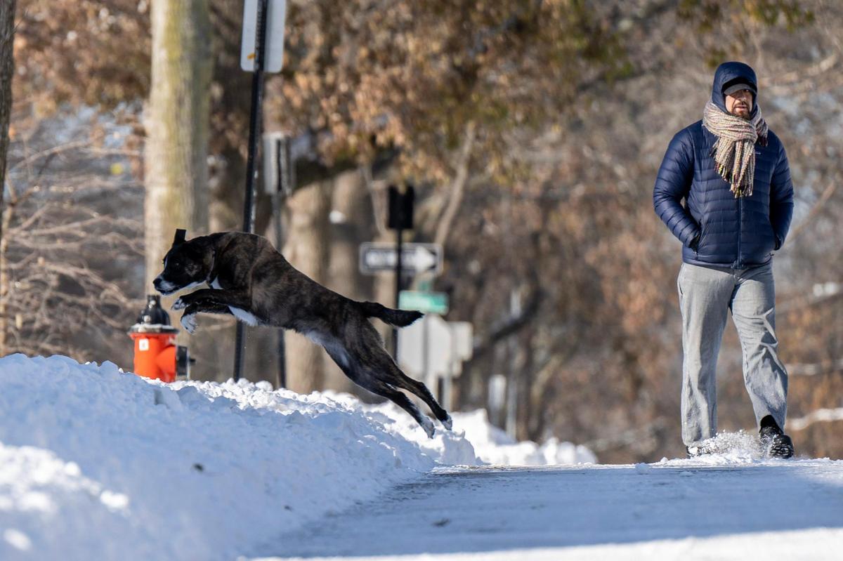 Toph Cooper watches his dog Mi-ta leap into the snow as they walk along East 36th Street on Monday, Jan. 6, 2025, in Kansas City.