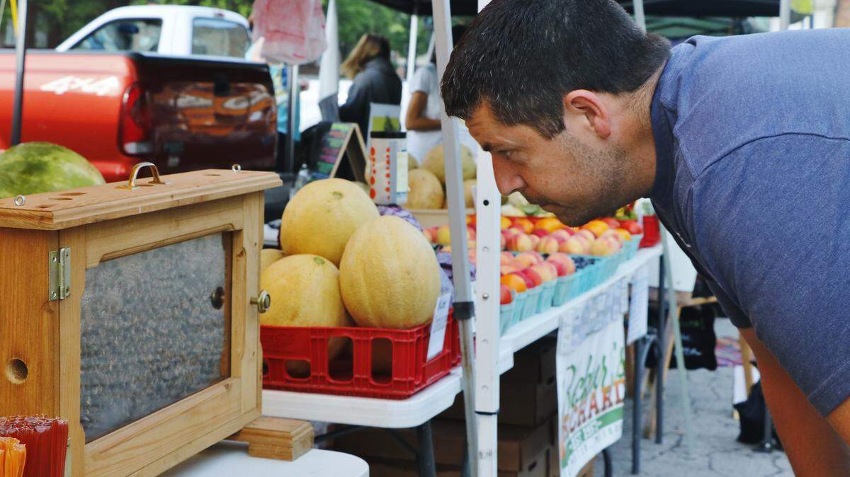 At the Lee’s Summit Farmers Market in July, Sam Hatheway, of Lee’s Summit, viewed a honeybee observation hive owned by beekeeper Grant Gillard. Observation hives provide an opportunity to learn about the bees’ day-to-day activities within a hive.