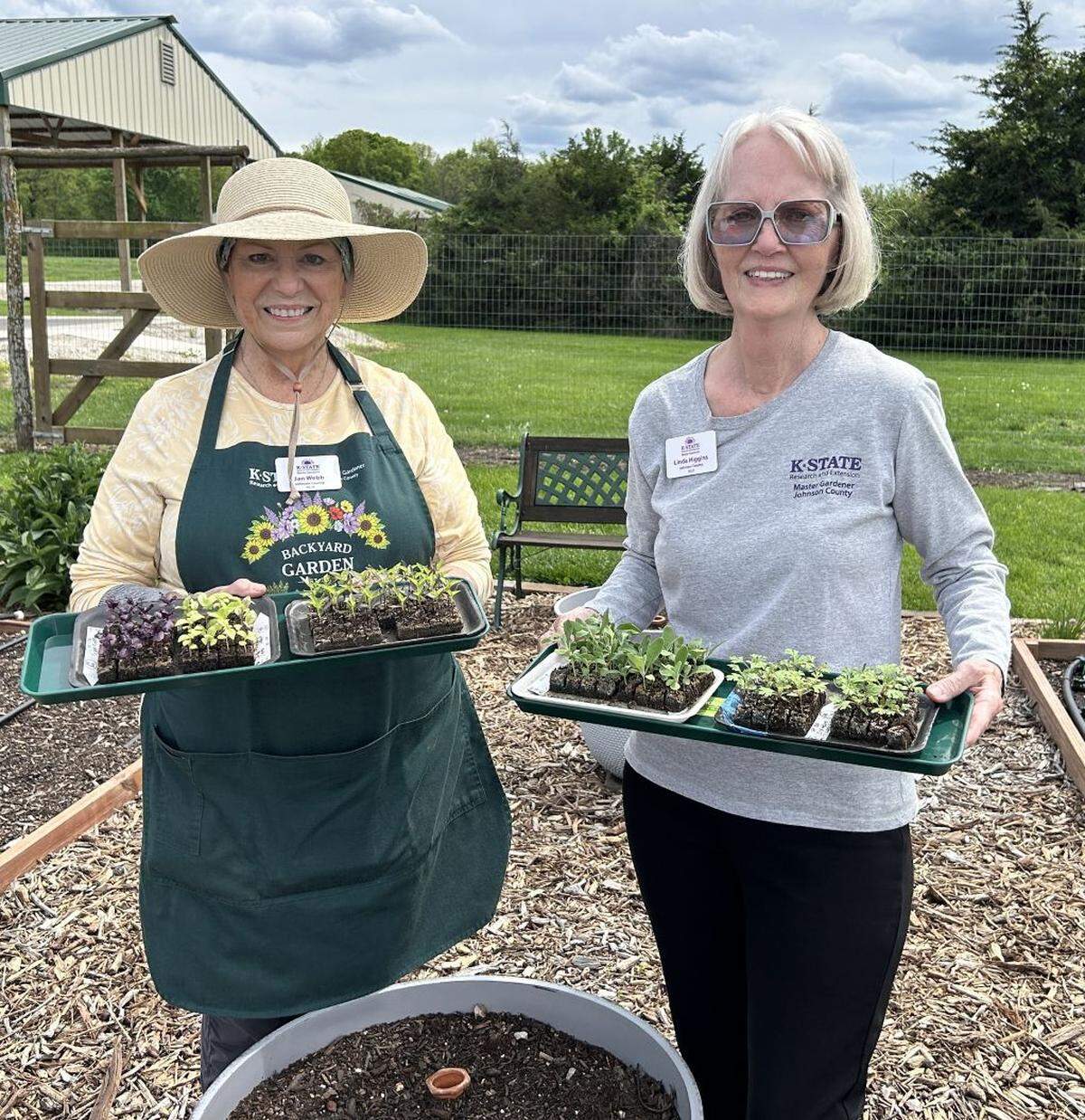 Extension gardeners are preparing new transplants from the Backyard Garden Demonstration Garden.