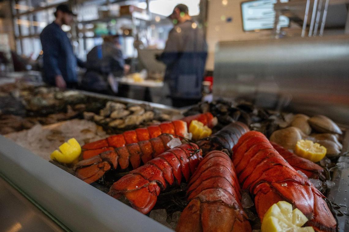 In a display case, lobsters are nestled on a bed of ice, alongside a variety of mussels and oysters.