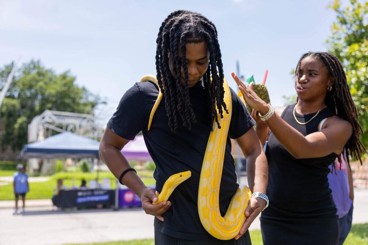Savio Williams holds Mufunko, a Banana Albino Ball Python at the Unruly Igzatiks booth during JuneteenthKC 15th Annual Heritage Festival at E 18th Street on Saturday, June 20, 2026.