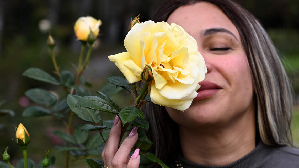 Why scents carry the brain’s strongest memory triggers and how that recall reaches back 20 plus years