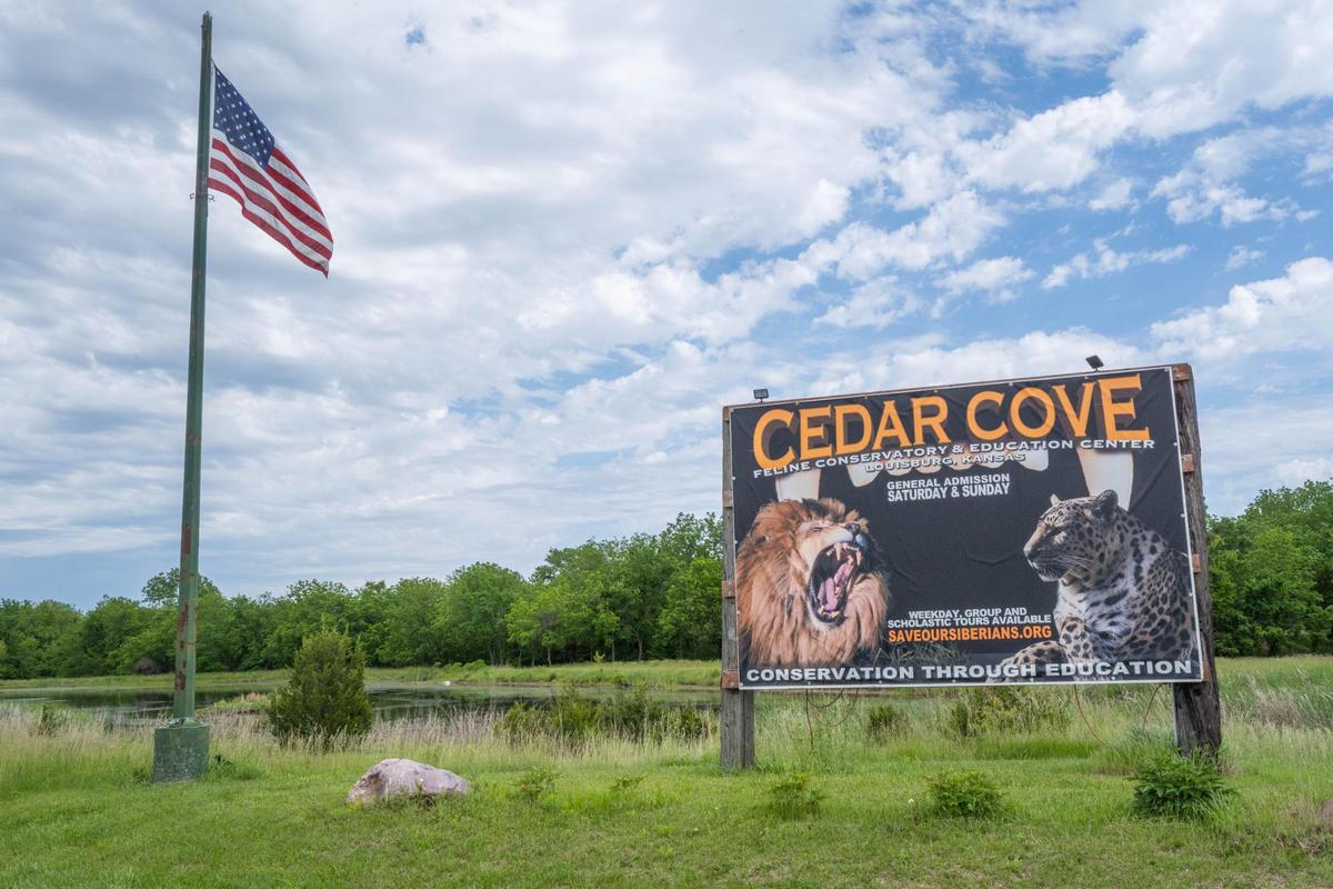 Cedar Cove Conservation & Education Center in Louisburg, Kansas on Thursday, May 22, 2025. Cedar Cove has provided a safe haven for displaced exotic animals for the last 25 years.