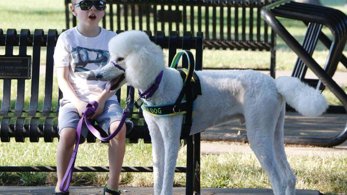 In 2016, Jace Halstead, 7, was diagnosed with autism. His service dog and best buddy, Ryder, is a constant companion and helps Jace work successfully through sensory and elopement issues.