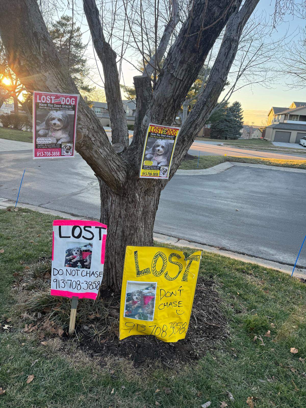 Some of the dozens of signs used in Gracie’s search.
