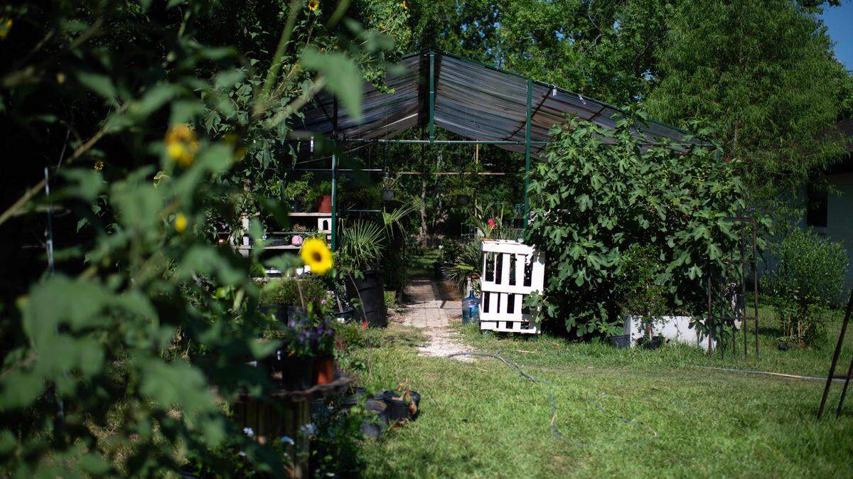Thinking about getting a greenhouse for your garden? There are many dos and don’ts when it comes to having one on your property. 