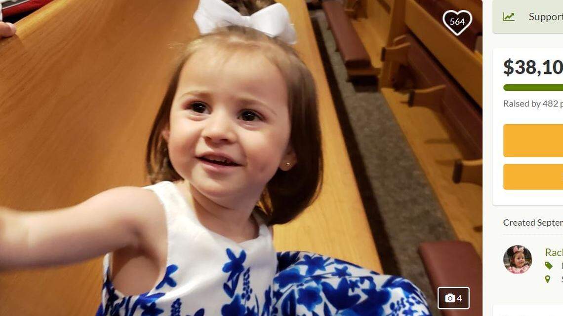 Felicity Karam, 2, was killed by an ice cream truck moments after her family bought treats in Wentzville, Missouri.