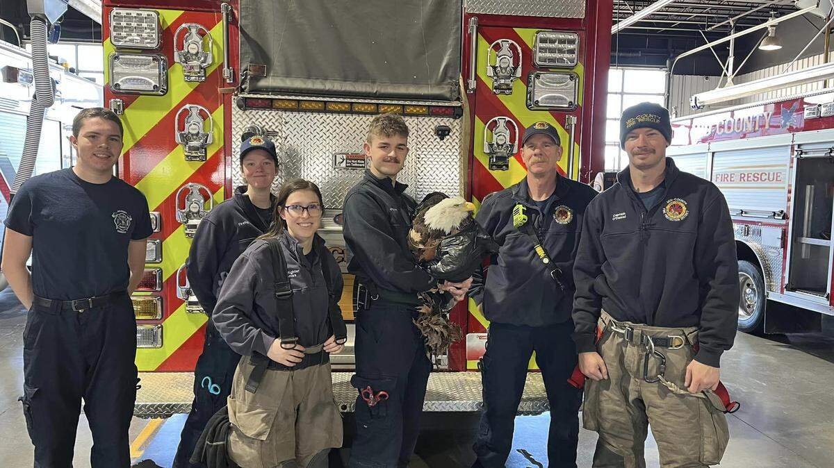 An injured bald eagle was found in a ditch by Missouri firefighters responding to another call. They returned to make the rescue.