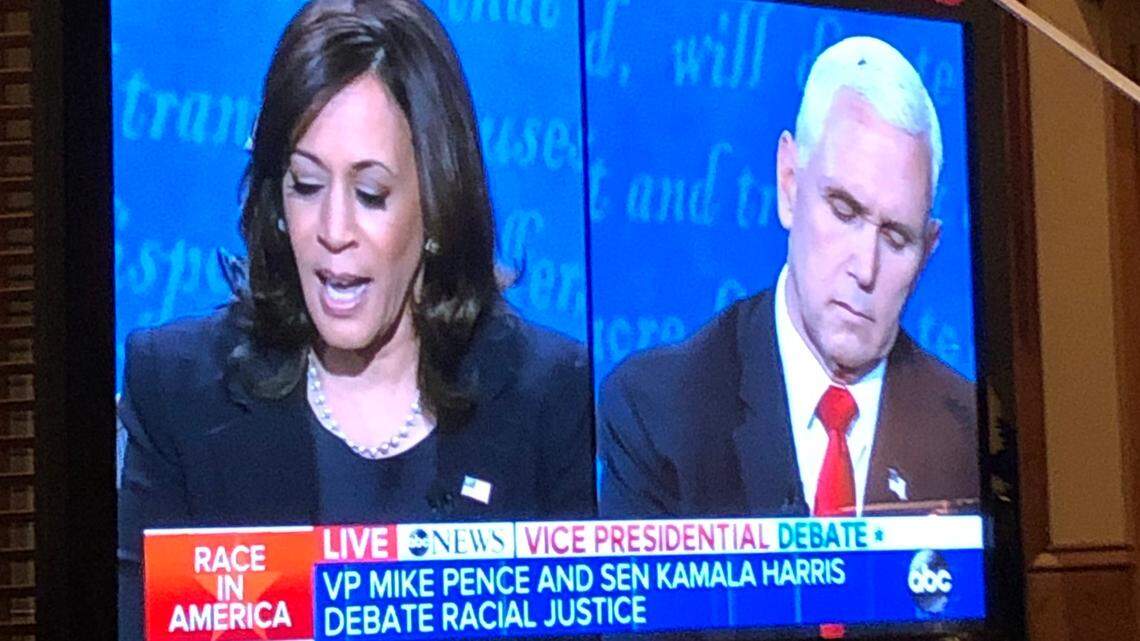 A common housefly during the vice presidential debate was a welcome distraction at the Hatton household.