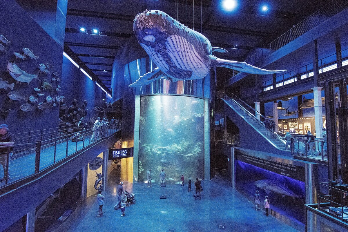 Johnny Morris' Wonders of Wildlife National Museum and Aquarium opened in September in Springfield, Mo.