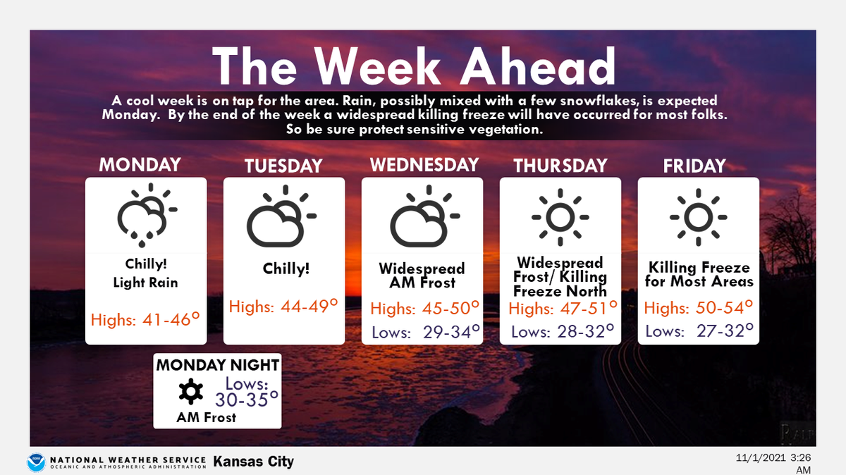 No more time to procrastinate for those of you who haven’t brought their houseplants back indoors for the winter season — Kansas City could see its first hard freeze of the season.