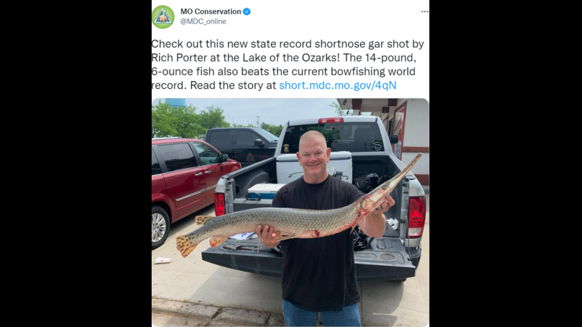 Rich Porter, of Nebraska, shot this shortnose gar May 16 while on a Missouri fishing trip.