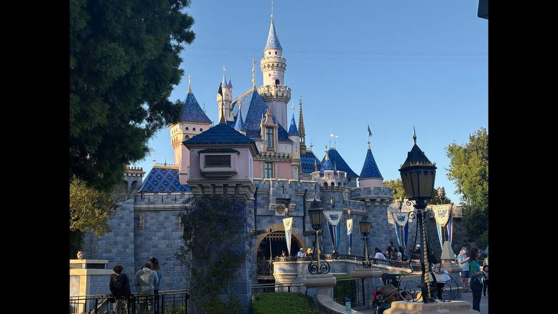 A Disneyland vacation offered an opportunity to spot stupidity at its finest