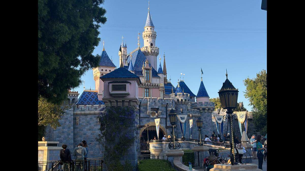 Sherry Kuehl got her fill of stupidity when she and her daughter visited Disneyland.