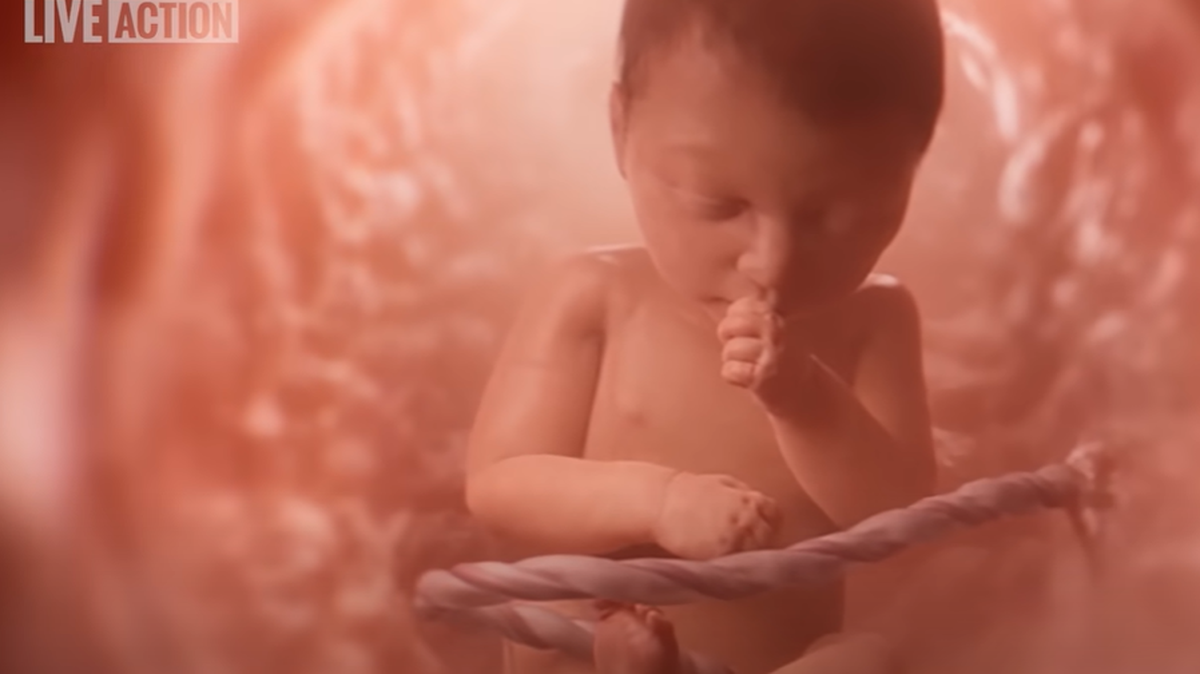 Screenshot of the “Baby Olivia” video produced by anti-abortion group Live Action. Kansas Republicans want to require similar videos in public school biology and sex ed classes.