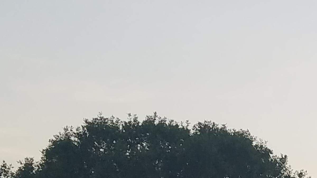 Two men fell from the roof of this house after lightning struck Thursday afternoon in eastern Kansas City.  The other roofers initially thought one man was dead, neighbor Laurie Callahan said.
