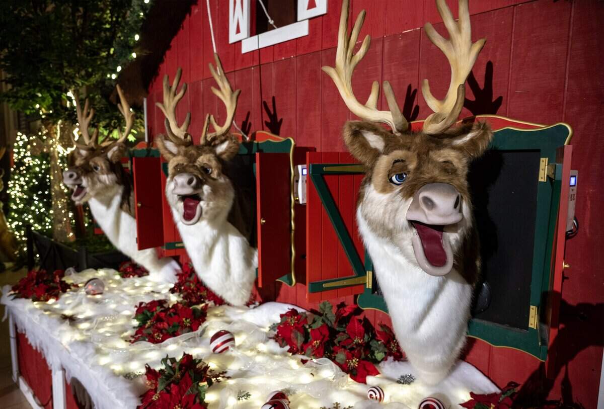 The trio of singing reindeer are back on display at “Holiday Reflections” at Union Station on Thursday, November 20, 2025, in Kansas City. The display is billed as Kansas City's largest holiday walk-through experience, filling 27,000 square feet of the historic Grand Plaza.