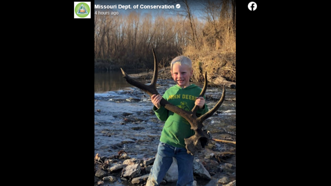 This elk antler attached to the skull plate was found by a dad and son fishing at Sowards Ford Access on the Grand River, Missouri officials say.