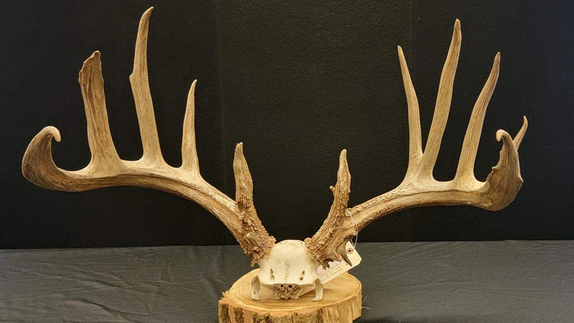 A 28-year-old will pay a record-breaking fine after he’s accused of illegally shooting an 18-point buck on private property in 2023, Ohio officials said.