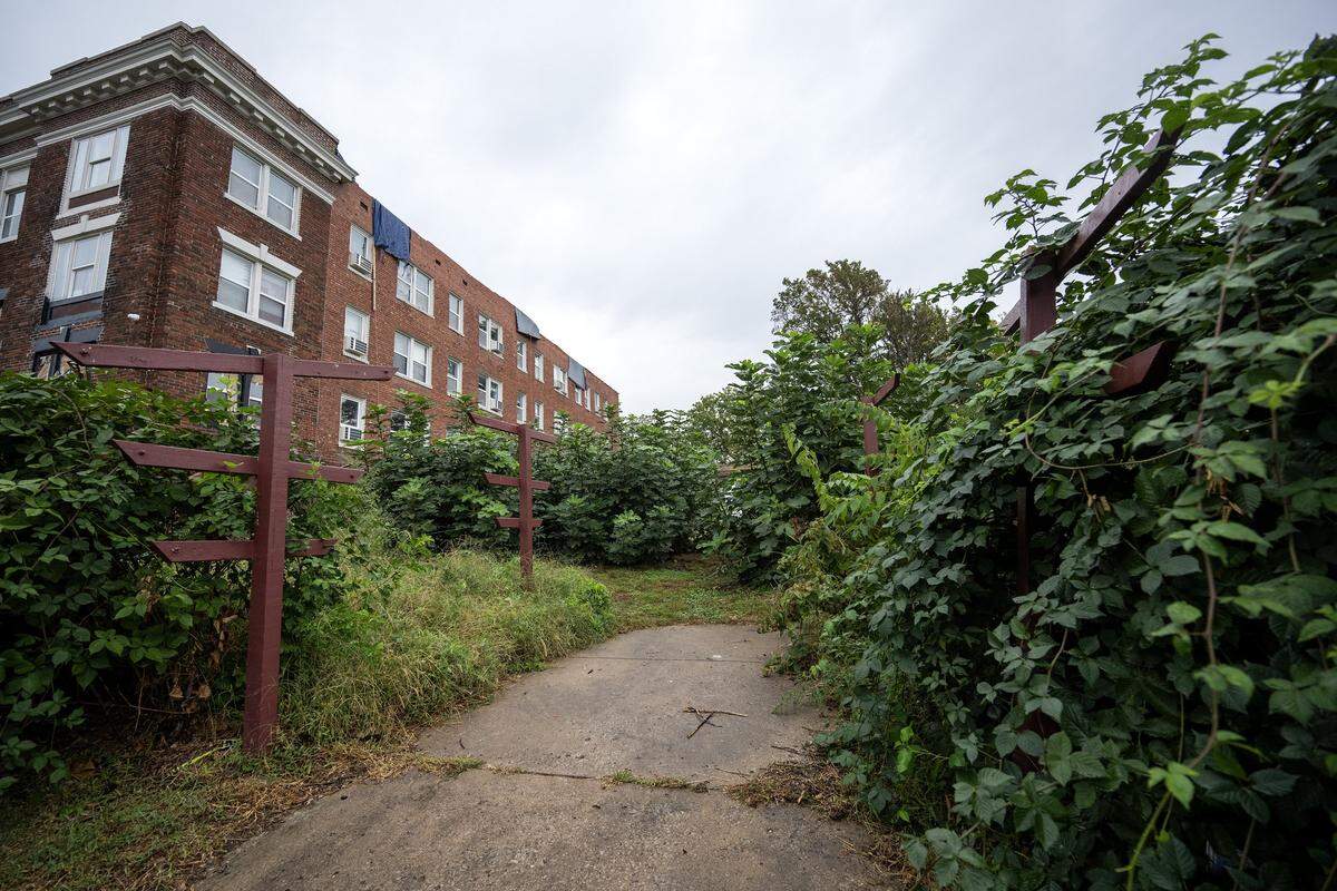 The community orchard is pictured in the Pendleton Heights neighborhood on Tuesday, Oct. 14, 2025, in Kansas City. The Maple Flats apartment building, seen at left, has proposed replacing the orchard with a parking lot for residents.