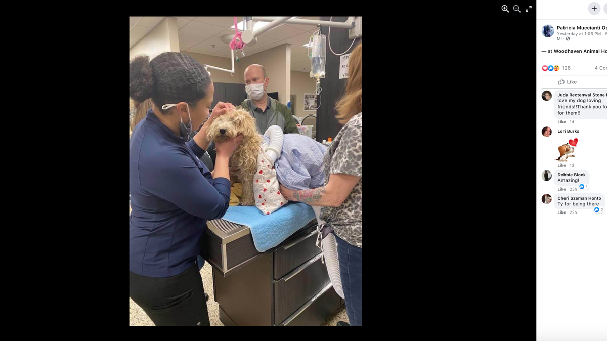 Alfonso was rescued after spending four days stranded on the icy Detroit River.