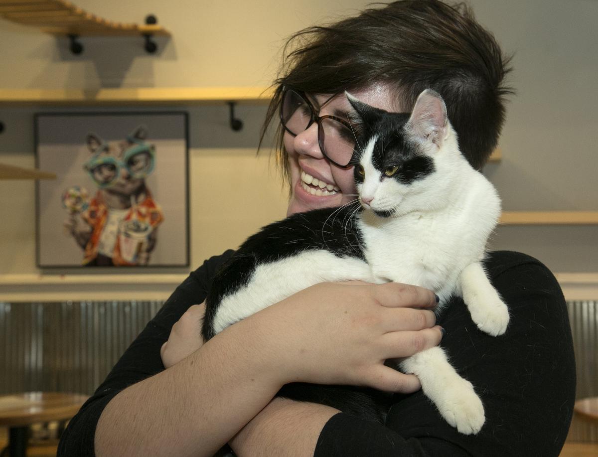 Kaitlyn Austin, a Whiskers Cat Cafe supervisor, cuddled with Rachel, an 8-month-old kitten up for adoption, during a media preview on Nov. 19.