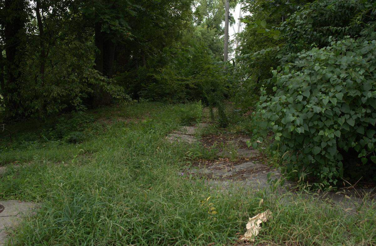 A vacant alleyway closed off by natural overgrowth in northeastern Kansas City, Kansas, marks one example of neglected public infrastructure, says Vanessa Robinson, president of the Neighbors Who Care community group.