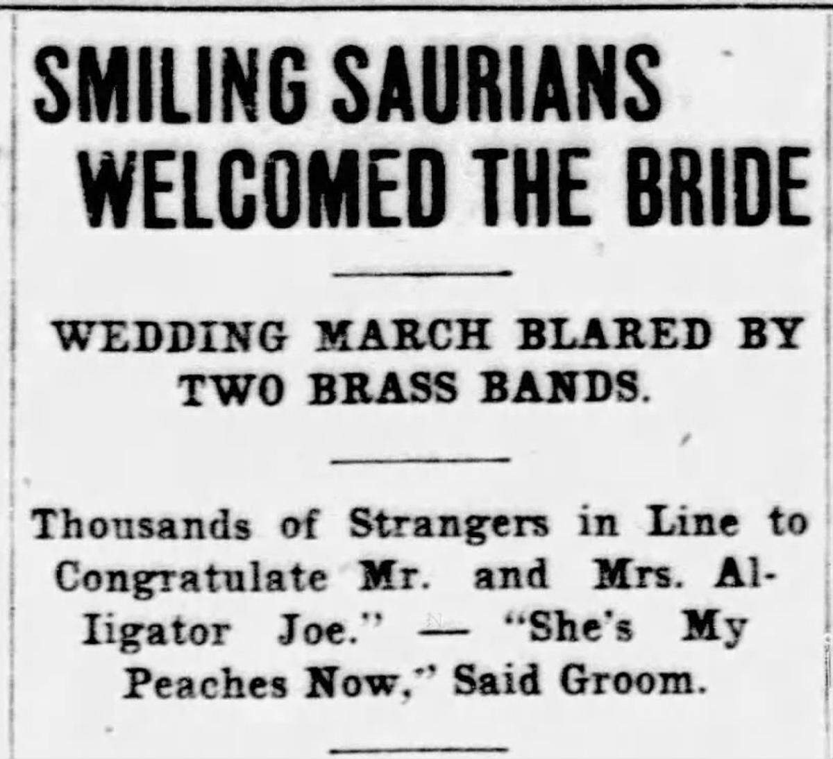 A October 6, 1909, Kansas City Journal headline announces Alligator Joe’s wedding.