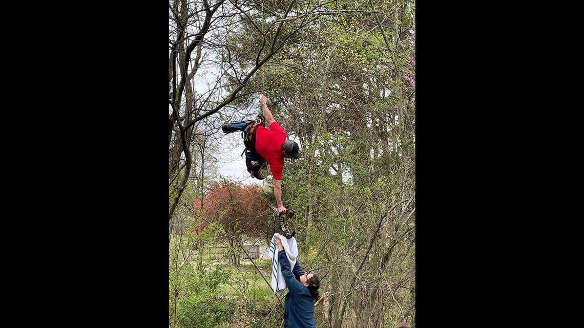 Sparkles the cat climbed a tree in Jonesboro, Arkansas, on March 14 and was rescued on March 31, Heringer said.
