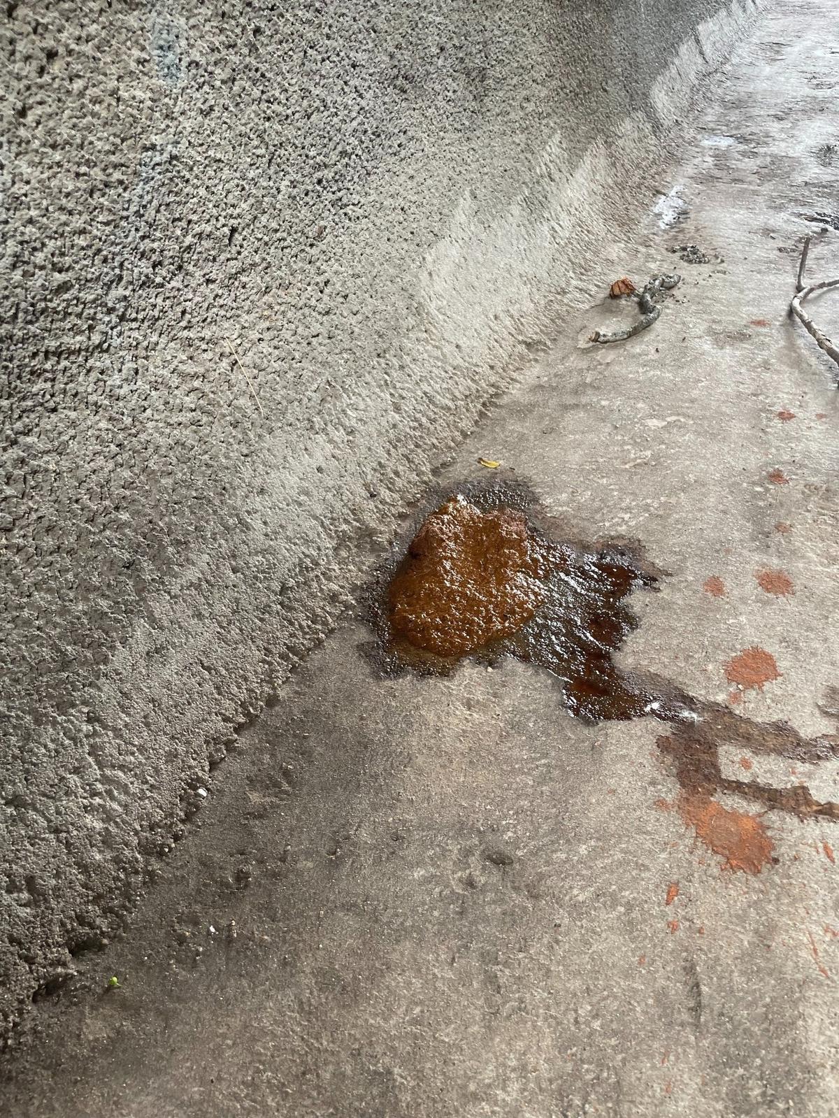 Raw sewage sits in the path of a low-lying Jersey Creek on the afternoon of June 30, 2025. Less than an hour later, a spurt of heavy rain would fall on the area and into the creek.