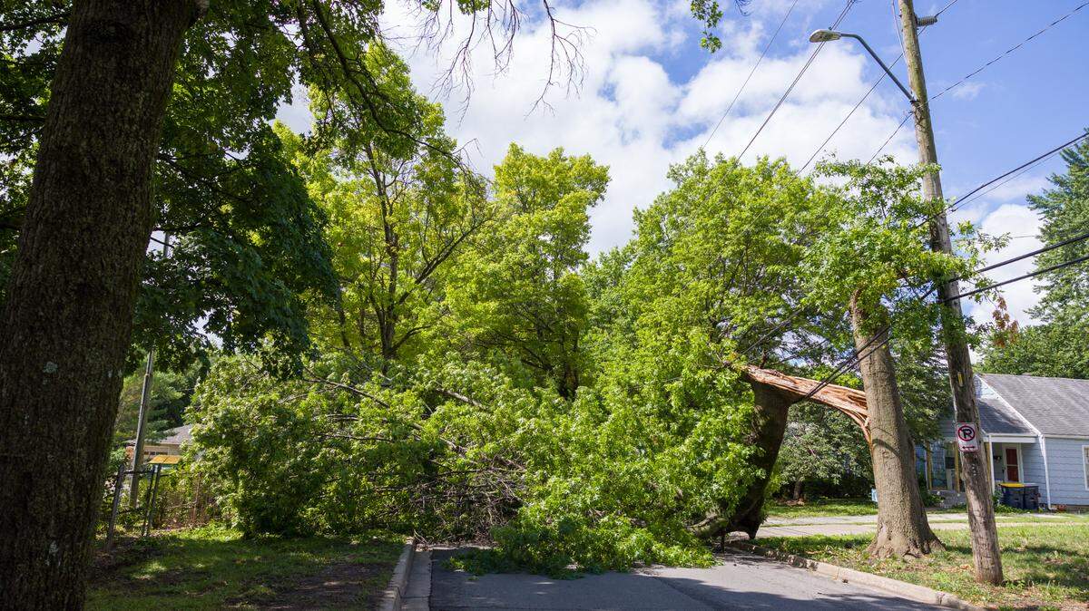 A fallen tree lays across Main Street near its intersection with East 80th Street in Kansas City’s Waldo neighborhood in June.
