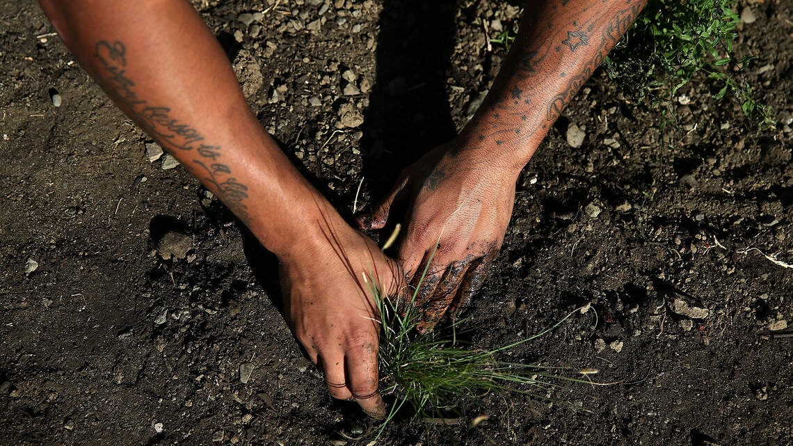 Don’t Wait for the Heat Wave: 7 Gardening Tasks That Will Help Protect Your Yard This Summer