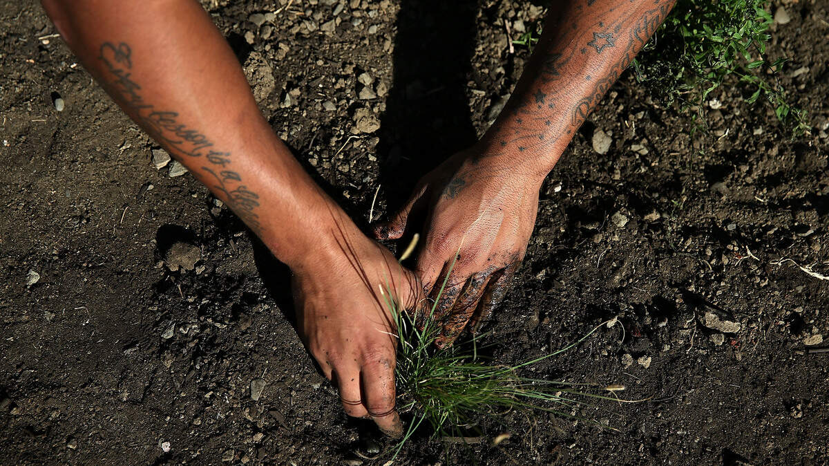 A man gardening.