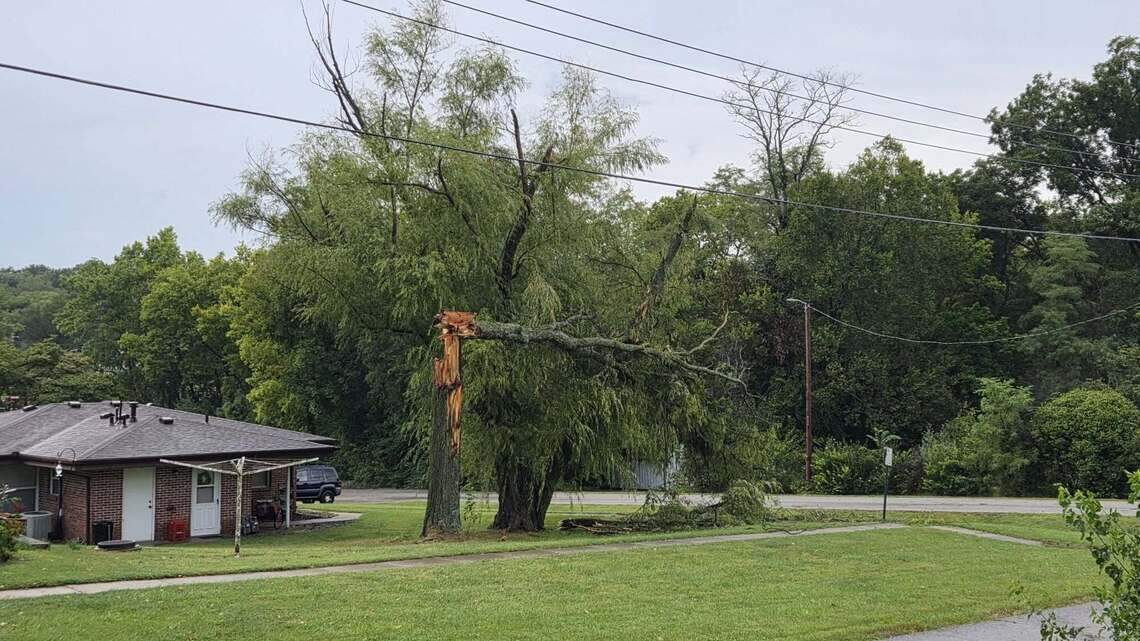 Overnight storms down trees, cut power in KC-area. Warm & clear days ahead
