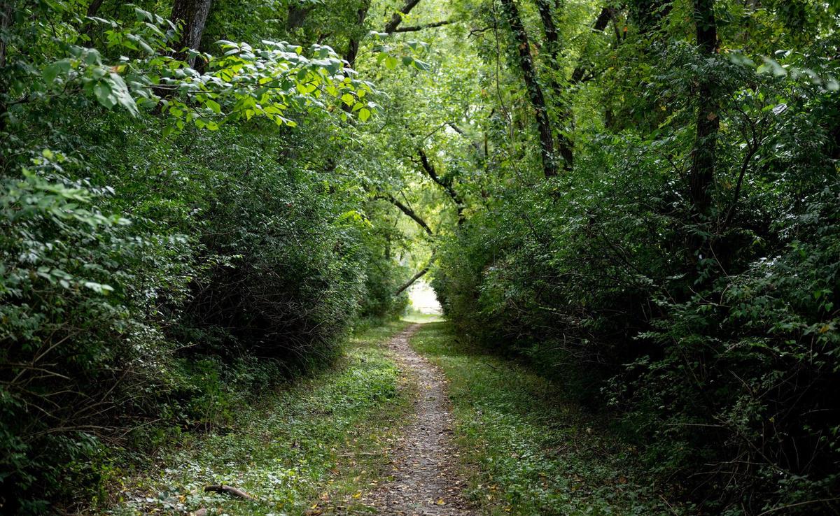 The Blue River Parkway Trail system offers trail users more than 12 miles of both dirt and paved trails.