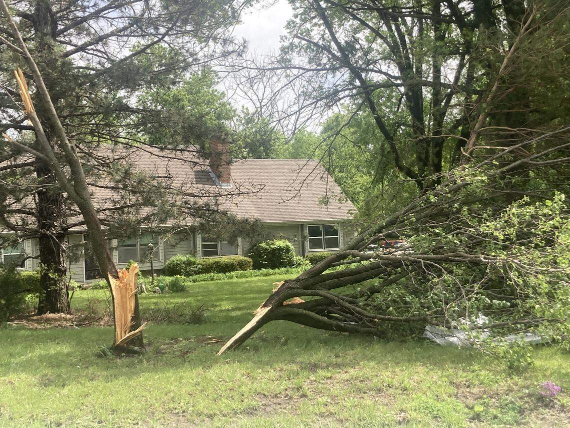 A storm with tornado-like winds on Monday, April 27, 2026 split trees on Stephen and Kelly Anne Herl’s property in Spring Hill, Kansas, on West 207th Street and South Ridgeview Road.