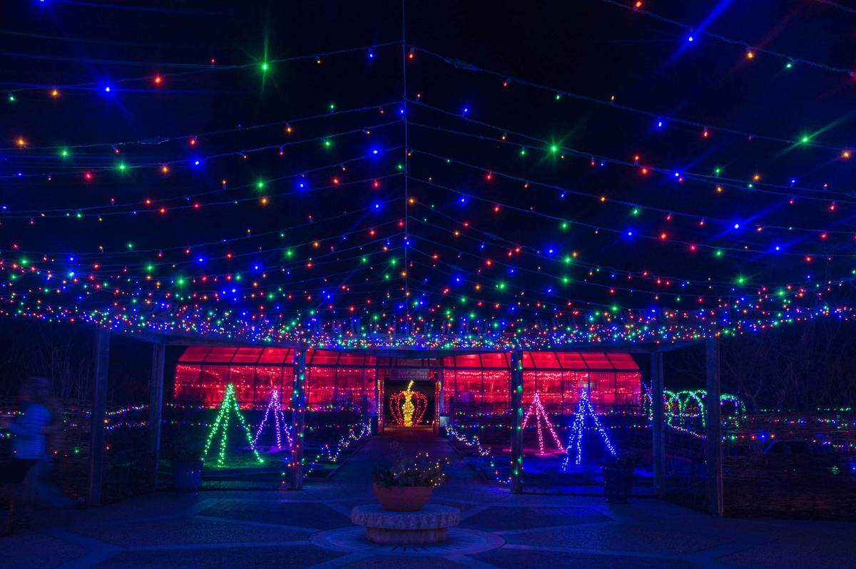 Powell Gardens will be adorned by lights Nov. 11-Dec. 30 during its Festival of Lights.