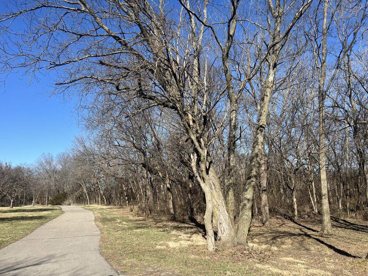 Camping on public land was made illegal last week in the City of Gardner after Gardner police officers repeatedly responded to calls about a person living on the trailway. City officials considered the ordinance change a “proactive” move to protect residents.