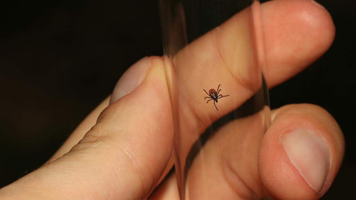 One person died from a tick-borne illness in Wisconsin, health officials said.