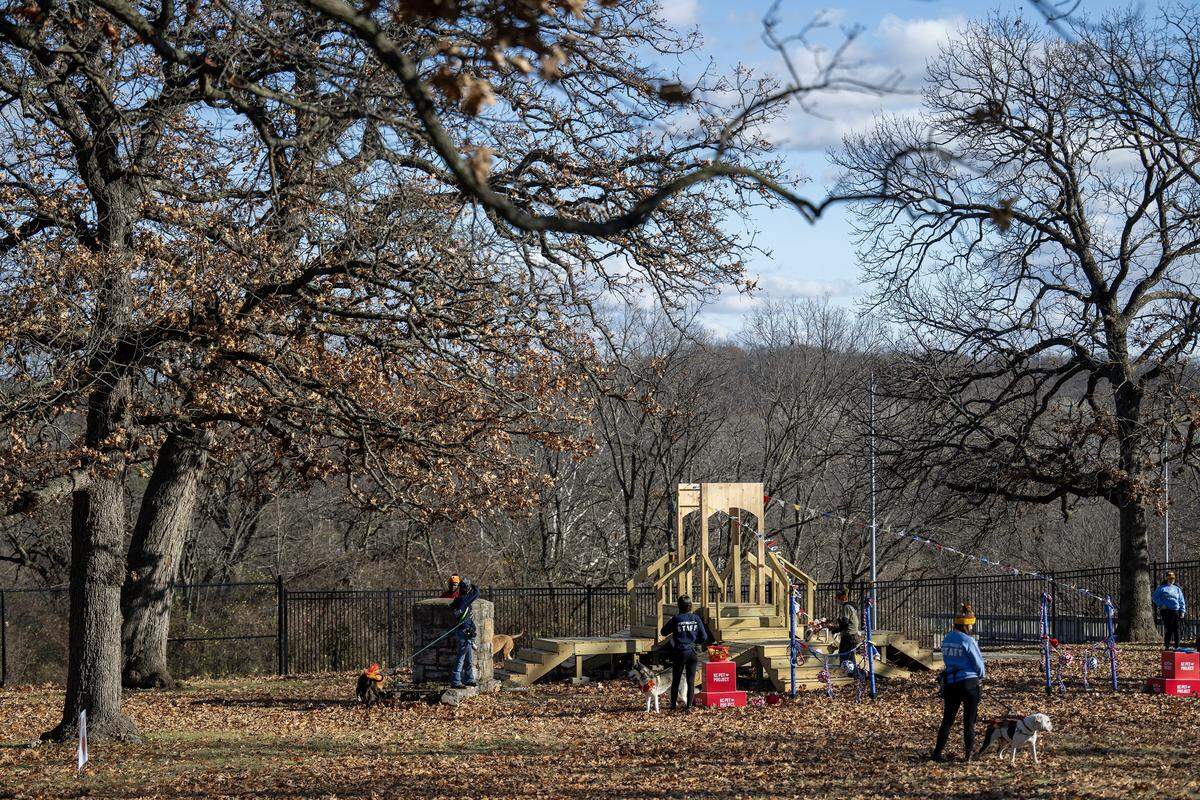 KC Pet Project shelter dogs enjoy their first playful romp at the new “Barks & Rec” playground which opened for shelter dogs Tuesday, Nov. 25, 2025, in Swope Park.