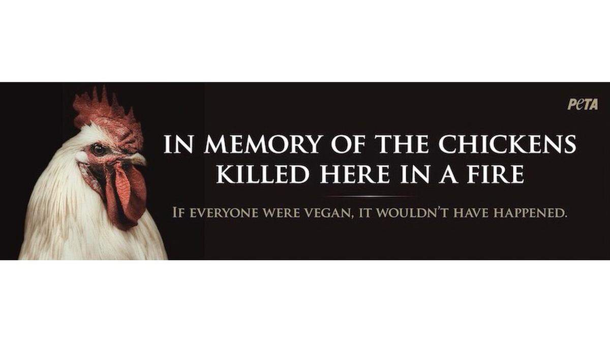 PETA is putting up a billboard after chickens died during a barn fire in West Alexandria, Ohio. Photo from PETA.
