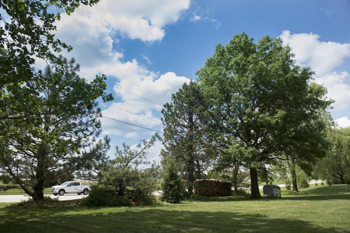 Scott Hamblin lives at the corner of Garnett Street and Quivira Road. Hamblin is worried  that Quivira Road improvements will take part of his property and a row of mature trees.