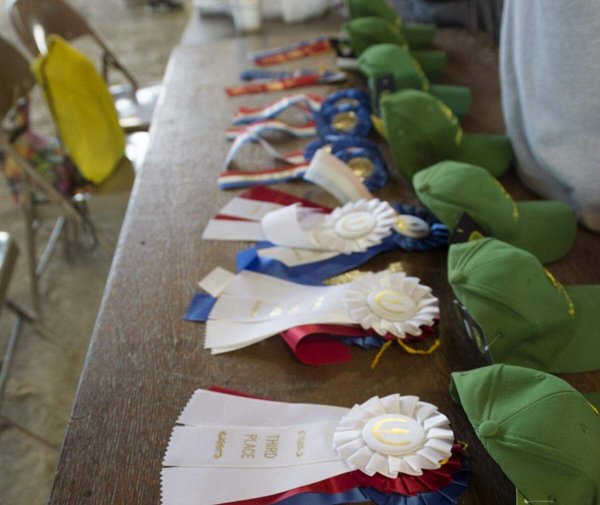 Ribbons will abound July 26-Aug. 1 at the Johnson County Fair in Gardner.