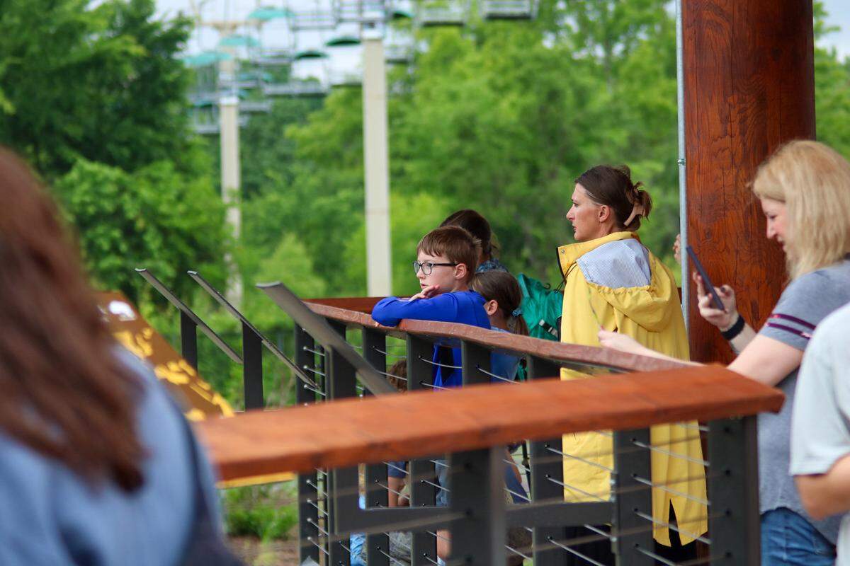 The Kansas City Zoo and Aquarium opened its new Giraffe Crossing exhibit Friday. Will Shipman, 10, is seen looking over the railing at giraffes in the exhibit.