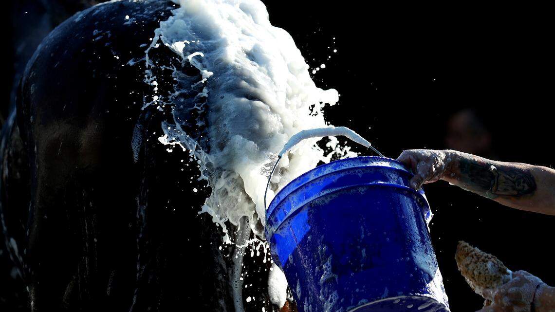 A bucket with sooapy warm water.